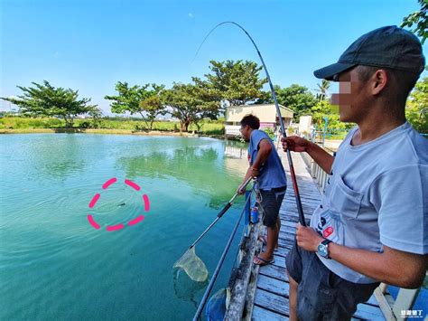 朝旺釣魚場